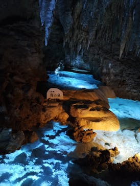 おきなわワールドに投稿された画像（2024/1/29）