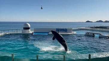 鴨川シーワールドに投稿された画像（2024/1/29）