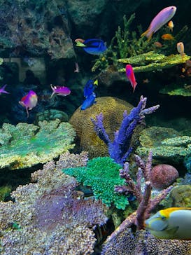 サンシャイン水族館に投稿された画像（2024/1/29）