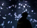 サンシャイン水族館に投稿された画像（2024/1/29）