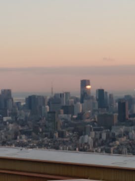 サンシャイン60展望台に投稿された画像（2024/1/29）