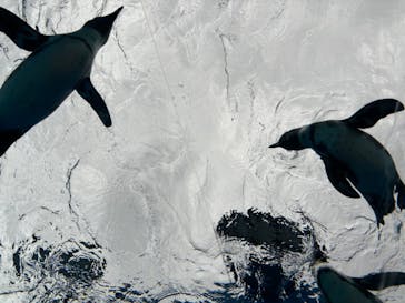 サンシャイン水族館に投稿された画像（2024/1/29）