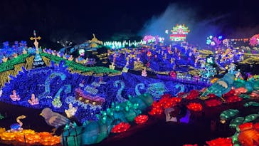 伊豆ぐらんぱる公園に投稿された画像（2024/1/29）