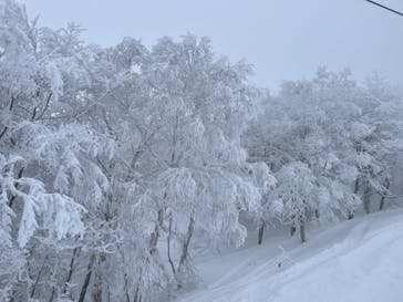 たざわ湖スキー場に投稿された画像（2024/1/29）
