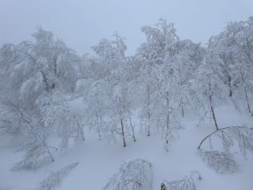 たざわ湖スキー場に投稿された画像（2024/1/29）