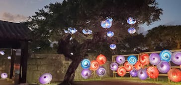 体験王国 むら咲むらに投稿された画像（2024/1/29）