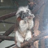 日立市かみね動物園に投稿された画像（2024/1/30）