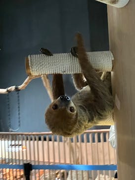 DMMかりゆし水族館に投稿された画像（2024/1/30）