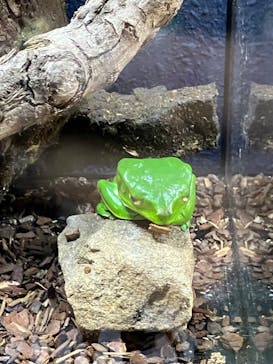 DMMかりゆし水族館に投稿された画像（2024/1/30）