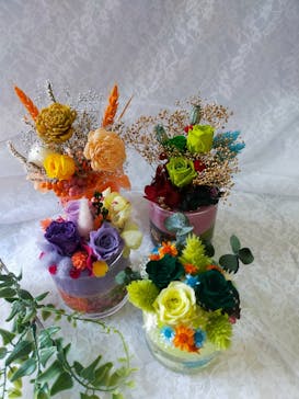 ずこうしつ〜sugamo〜に投稿された画像（2024/1/30）