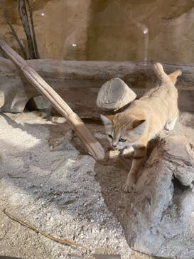 ネオパークオキナワに投稿された画像（2024/1/30）