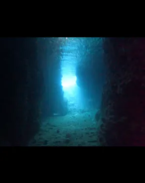 武藤潜水に投稿された画像（2024/1/30）