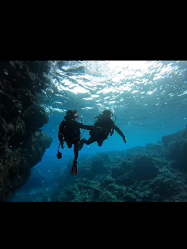 武藤潜水に投稿された画像（2024/1/30）