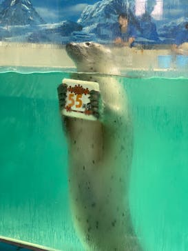 下田海中水族館に投稿された画像（2024/1/30）