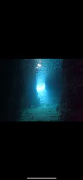 武藤潜水に投稿された画像（2024/1/30）