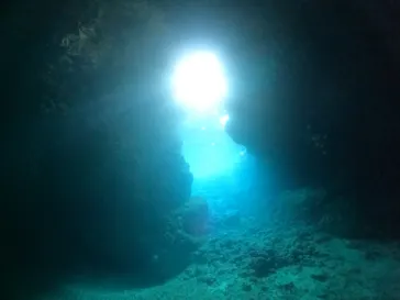 武藤潜水に投稿された画像（2024/1/30）