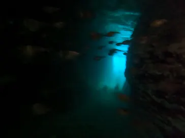 武藤潜水に投稿された画像（2024/1/30）