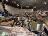国立科学博物館に投稿された画像（2024/1/30）
