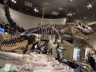 国立科学博物館に投稿された画像（2024/1/30）