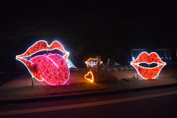 鹿児島イルミナージュに投稿された画像（2024/1/30）