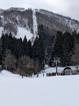 花輪スキー場　アルパスに投稿された画像（2024/1/30）