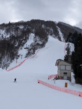 花輪スキー場　アルパスに投稿された画像（2024/1/30）