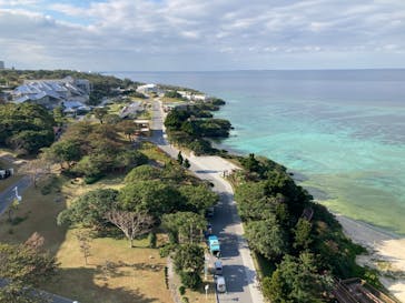 沖縄美ら海水族館に投稿された画像（2024/1/30）