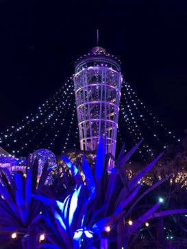 江の島シーキャンドルに投稿された画像（2024/1/30）