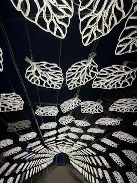 伊豆ぐらんぱる公園に投稿された画像（2024/1/30）