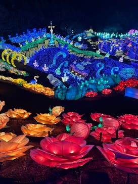 伊豆ぐらんぱる公園に投稿された画像（2024/1/30）