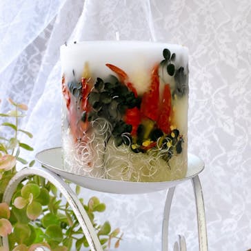 ずこうしつ〜sugamo〜に投稿された画像（2024/1/30）