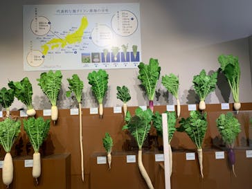 特別展「和食 ～日本の自然、人々の知恵～」に投稿された画像（2024/1/30）