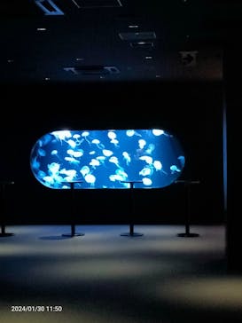 AOAO SAPPOROに投稿された画像（2024/1/30）