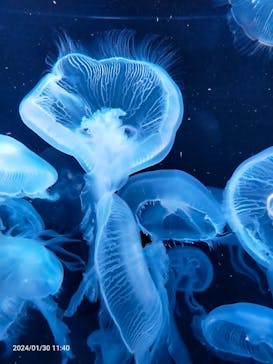 AOAO SAPPOROに投稿された画像（2024/1/30）