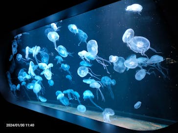 AOAO SAPPOROに投稿された画像（2024/1/30）