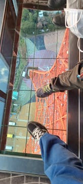 東京タワーに投稿された画像（2024/1/30）