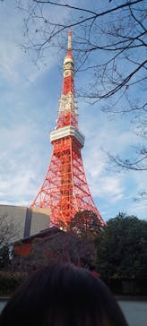 東京タワーに投稿された画像（2024/1/30）