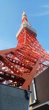 東京タワーに投稿された画像（2024/1/30）