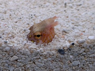 AOAO SAPPOROに投稿された画像（2024/1/30）