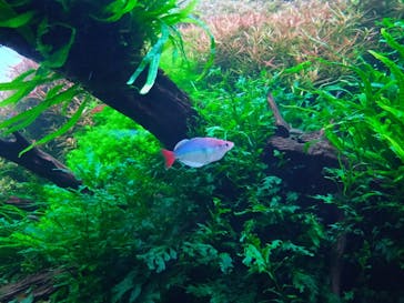 AOAO SAPPOROに投稿された画像（2024/1/30）