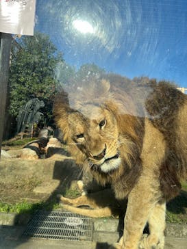 東武動物公園に投稿された画像（2024/1/30）