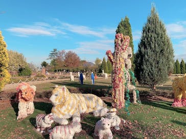 東武動物公園に投稿された画像（2024/1/30）