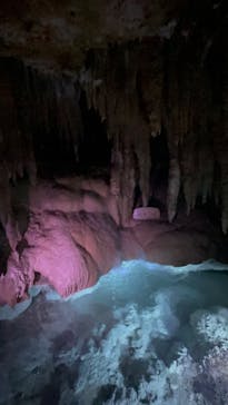 おきなわワールドに投稿された画像（2024/1/30）