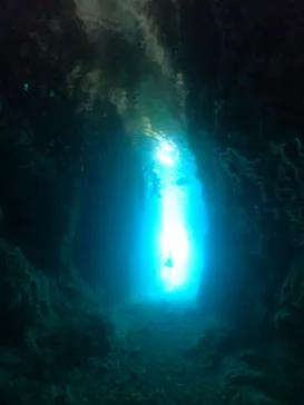 武藤潜水に投稿された画像（2024/1/31）