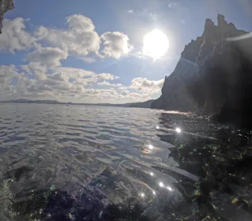 武藤潜水に投稿された画像（2024/1/31）