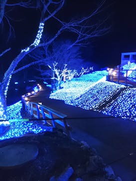 NESTA RESORT KOBE（ネスタリゾート神戸）に投稿された画像（2024/1/31）