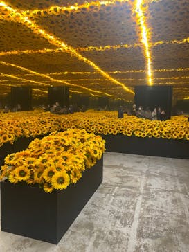 ゴッホ・アライブに投稿された画像（2024/1/31）