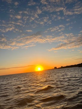 宮古島 ADVENTURE PiPi（ミヤコジマ アドベンチャー ピピ）に投稿された画像（2024/1/31）