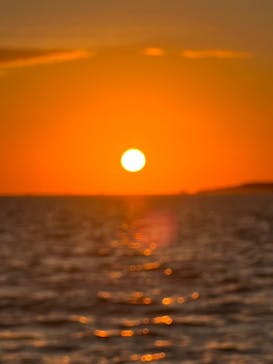 宮古島 ADVENTURE PiPi（ミヤコジマ アドベンチャー ピピ）に投稿された画像（2024/1/31）