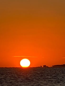 宮古島 ADVENTURE PiPi（ミヤコジマ アドベンチャー ピピ）に投稿された画像（2024/1/31）